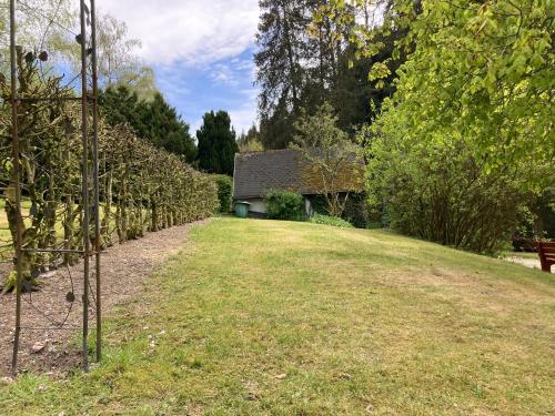 a yard with a house in the background and a field at Gasthof Walhalja in Schmallenberg