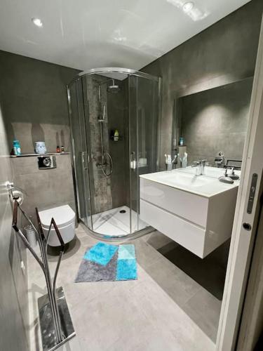 une salle de bain avec une douche, un lavabo et une baignoire dans l'établissement Villa Pleine campagne Jacuzzi 15 mn Saint Florent, à Santo-Pietro-di-Tenda