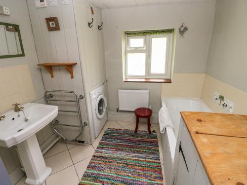 a bathroom with a sink and a washing machine at Penyrallt Fach Cottage in Llandysul