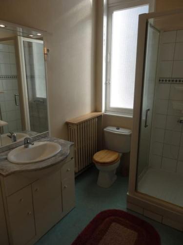 une salle de bain avec un lavabo, des toilettes et une douche dans l'établissement Villa La Cressonnière, à Trouville-sur-Mer