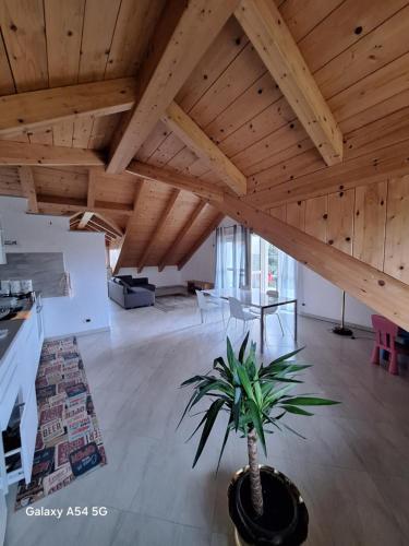 a large room with wooden ceilings and a potted plant at Casa Matilde in Leinì