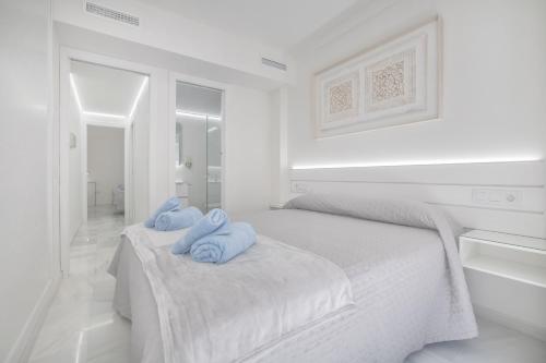 Foto Apartamentos Haranas II & Parking 1