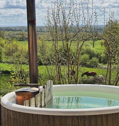 une baignoire jacuzzi avec vue sur un champ dans l'établissement La Maison de Fleurat, à Domeyrot