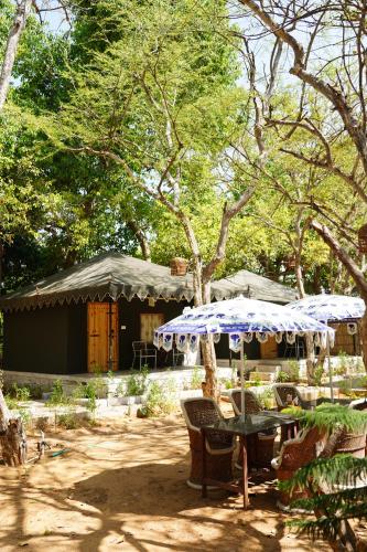 a picnic table with an umbrella in a yard at Heli Pushkar in Pushkar