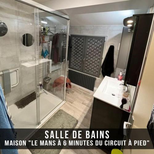 uma casa de banho com um chuveiro, um lavatório e um cão em MAISON Jean Pierre em Le Mans