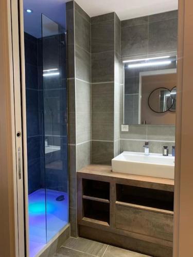 une salle de bain avec une douche en verre et un lavabo dans l'établissement Appt standing Coeur de ville Chateau et Marché, à Versailles