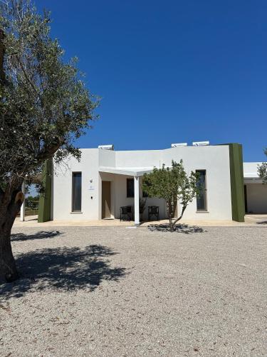 a white building with a tree in front of it at Li Mori Rooms in Lizzanello