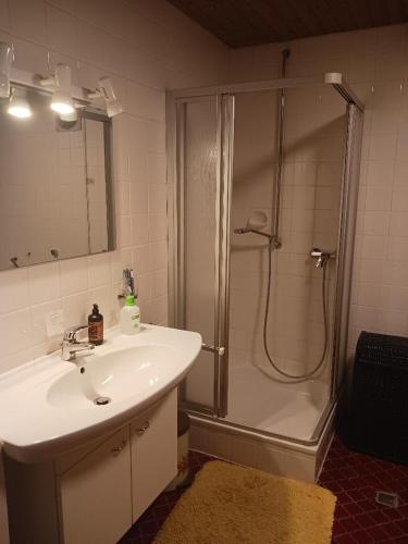 a bathroom with a sink and a shower with a shower at Ferien im Odenwald Nostalgie pur in Schönbrunn