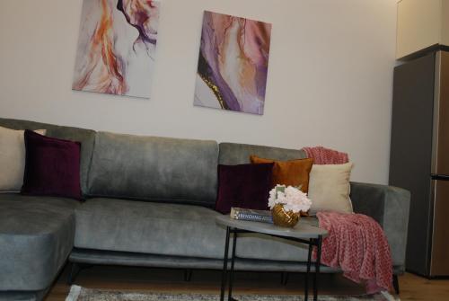 Lindis apartment 8 6