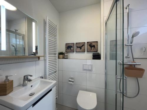 ein Bad mit einem WC, einem Waschbecken und einer Dusche in der Unterkunft Ferienhaus SONNENWEG 8 in Heringhausen