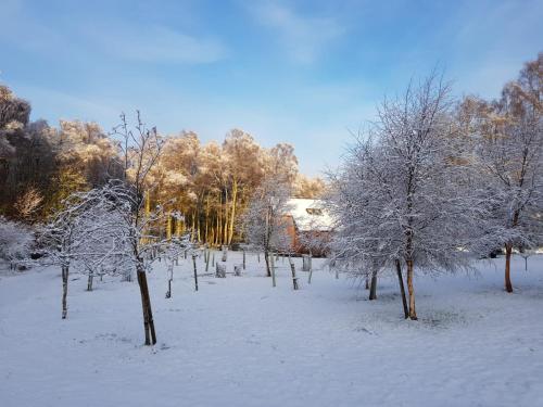 Lodges at the Mains durante el invierno