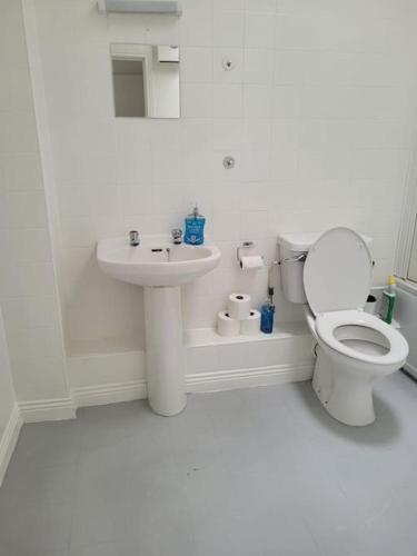 a white bathroom with a toilet and a sink at Stylish 4 Bedroom Dublin House in Dublin