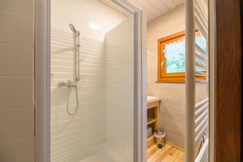 a bathroom with a shower with a glass door at Chalet Les Airelles in Mittlach