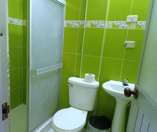 a green bathroom with a toilet and a sink at Tena - 4 Beds - Sleeps 12 - Pet Friendly - Hot Tub in Tena