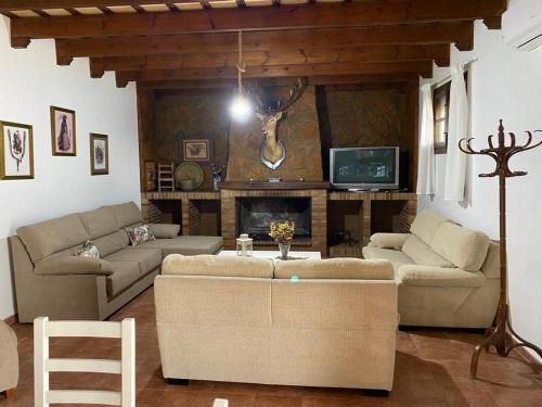 sala de estar con 2 sofás y chimenea en Casa Rural El Almendrillo, en Arcos de la Frontera