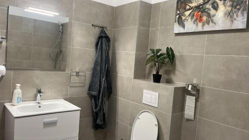 Live Tulcea Hotel في تولسيا: حمام مع مرحاض ومغسلة