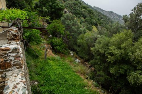 Φωτογραφία από το άλμπουμ του Traditional stone build country house Shale σε Voutás