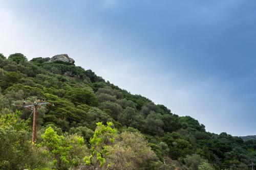 Φωτογραφία από το άλμπουμ του Traditional stone build country house Shale σε Voutás