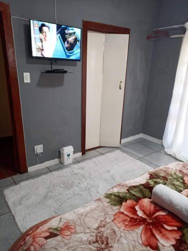 1 dormitorio con TV de pantalla plana en la pared en WAMPEX GUEST HOUSE POTCHESTROOM, en Potchefstroom