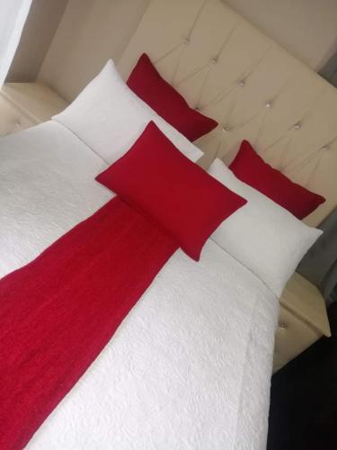 1 dormitorio con 1 cama con almohadas rojas y blancas en WAMPEX GUEST HOUSE POTCHESTROOM, en Potchefstroom