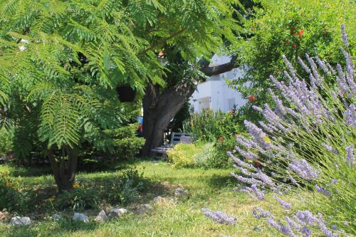 Apartments 501 - Rab island oasis retreat