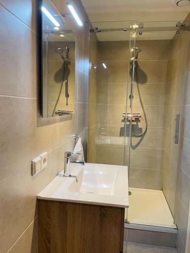 W łazience znajduje się umywalka i prysznic. w obiekcie Appartement Boothuis w mieście Sneek
