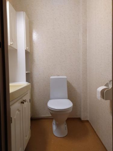 een badkamer met een wit toilet en een wastafel bij Saimaa view house in Lappeenranta