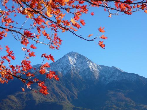 a mountain in the background with autumn leaves at Hotel Europa - Sorico in Sorico