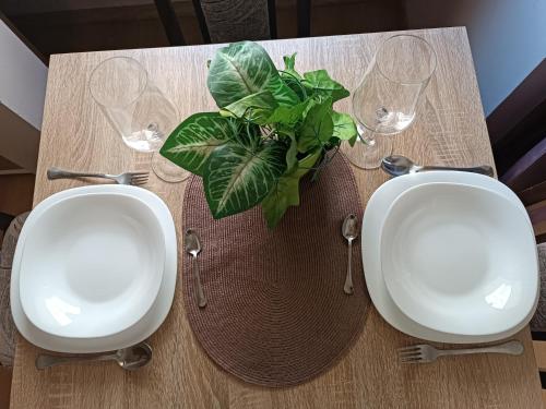 a table with two glasses and a potted plant on it at Stella Apartment in Karaburma