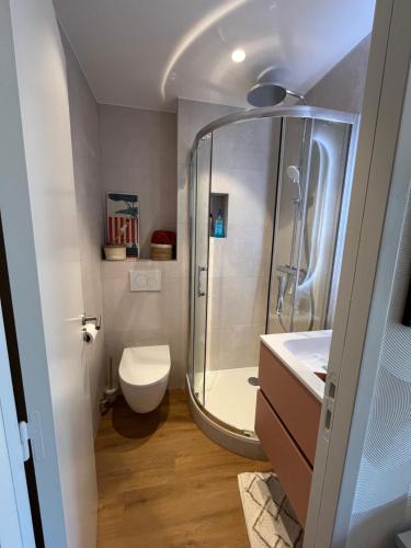une salle de bain avec une douche, des toilettes et un lavabo dans l'établissement Magnifique Studio lajarrige proximité plage et commerces, à La Baule