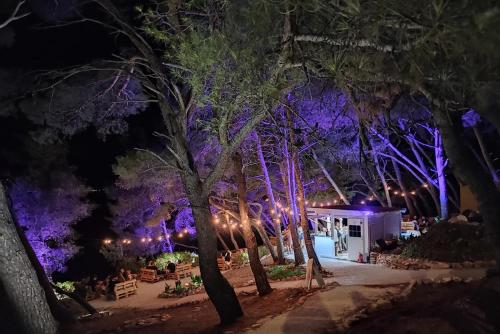 a group of trees and a building with purple lights at Holiday house Mila in Postira