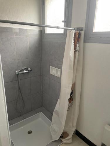Ένα μπάνιο στο Appartement proche du canal du midi