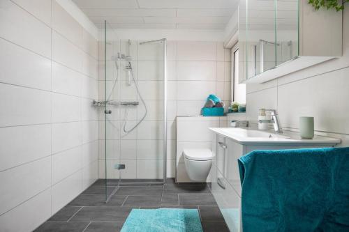 a bathroom with a shower and a toilet and a sink at Ferienhaus an der Göhrde in Zernien