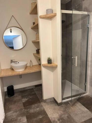 une salle de bain avec une douche, un lavabo et un miroir dans l'établissement Au cœur des bois, à Saint-Germain-du-Salembre