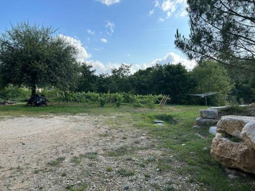un champ avec des rochers et un arbre et des arbres dans l'établissement Au cœur des bois, à Saint-Germain-du-Salembre