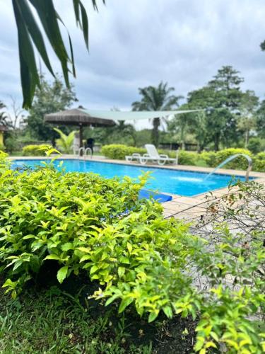 Kolam renang di atau dekat dengan Sítio Em Guapimirim