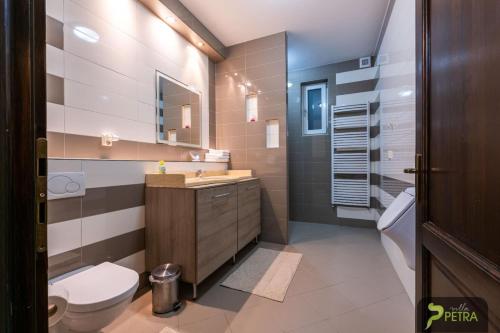 ein Bad mit einem WC und einem Waschbecken in der Unterkunft Vila Petra in Cristian
