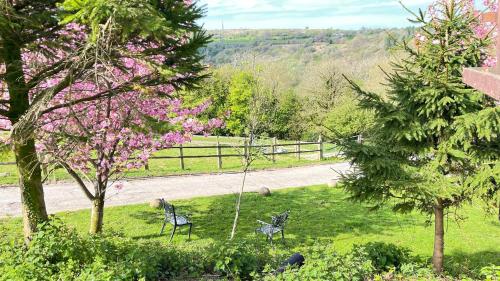 The Old Mountain Stables Caerllwyn Ganol Farmにある庭