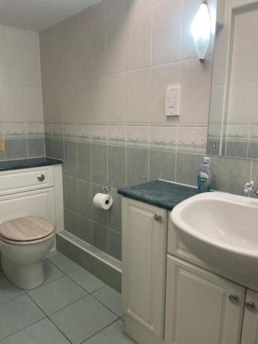a bathroom with a toilet and a sink at Ground floor garden apartment in Newark-on-Trent