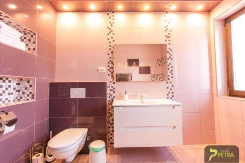 a bathroom with a toilet and a sink at Vila Petra in Cristian