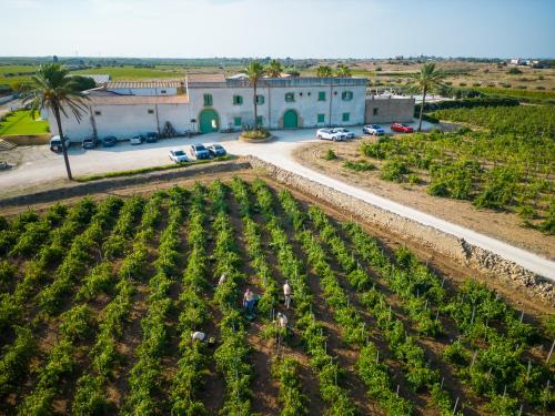 an aerial view of a field of crops at Agriturismo Baglio Donnafranca Wine Resort in Marsala