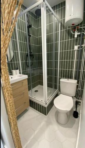 une salle de bain avec toilettes, douche et lavabo dans l'établissement La halte, à Villeurbanne