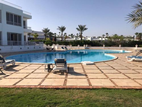 samara villas luxury في شرم الشيخ: مسبح مع كرسيين جلوس امام مبنى