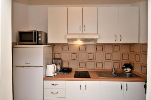 Apartment Elizabeta