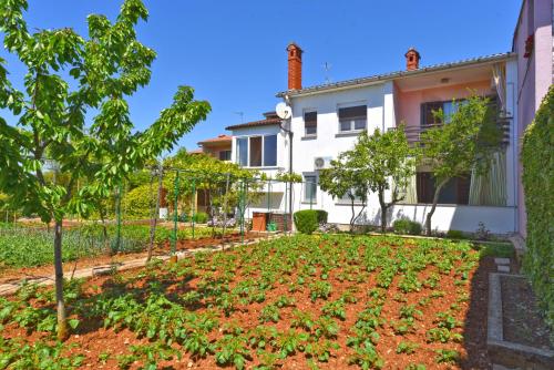Apartments Nevina 1230