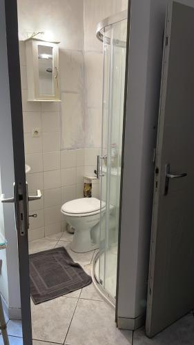 ein Bad mit einem WC und einer Glasdusche in der Unterkunft Studio in the heart of historical house in Villeneuve-lès-Béziers