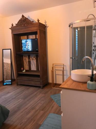La salle de bains est pourvue d'un lavabo, d'une télévision et d'une baignoire. dans l'établissement Balade en forêt, à Saint-Dizier