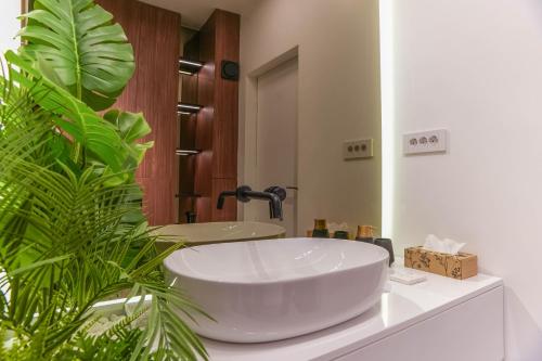 Ένα μπάνιο στο White Residence