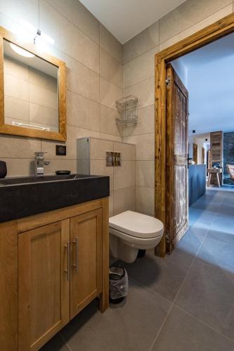 une salle de bain avec toilettes, lavabo et miroir dans l'établissement Appartement neuf et spacieux au cœur du village avec sauna, à Saint-Sorlin-dʼArves