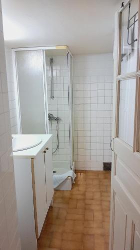 a bathroom with a shower and a sink and a mirror at Grande maison en Aubrac in Chaudes-Aigues